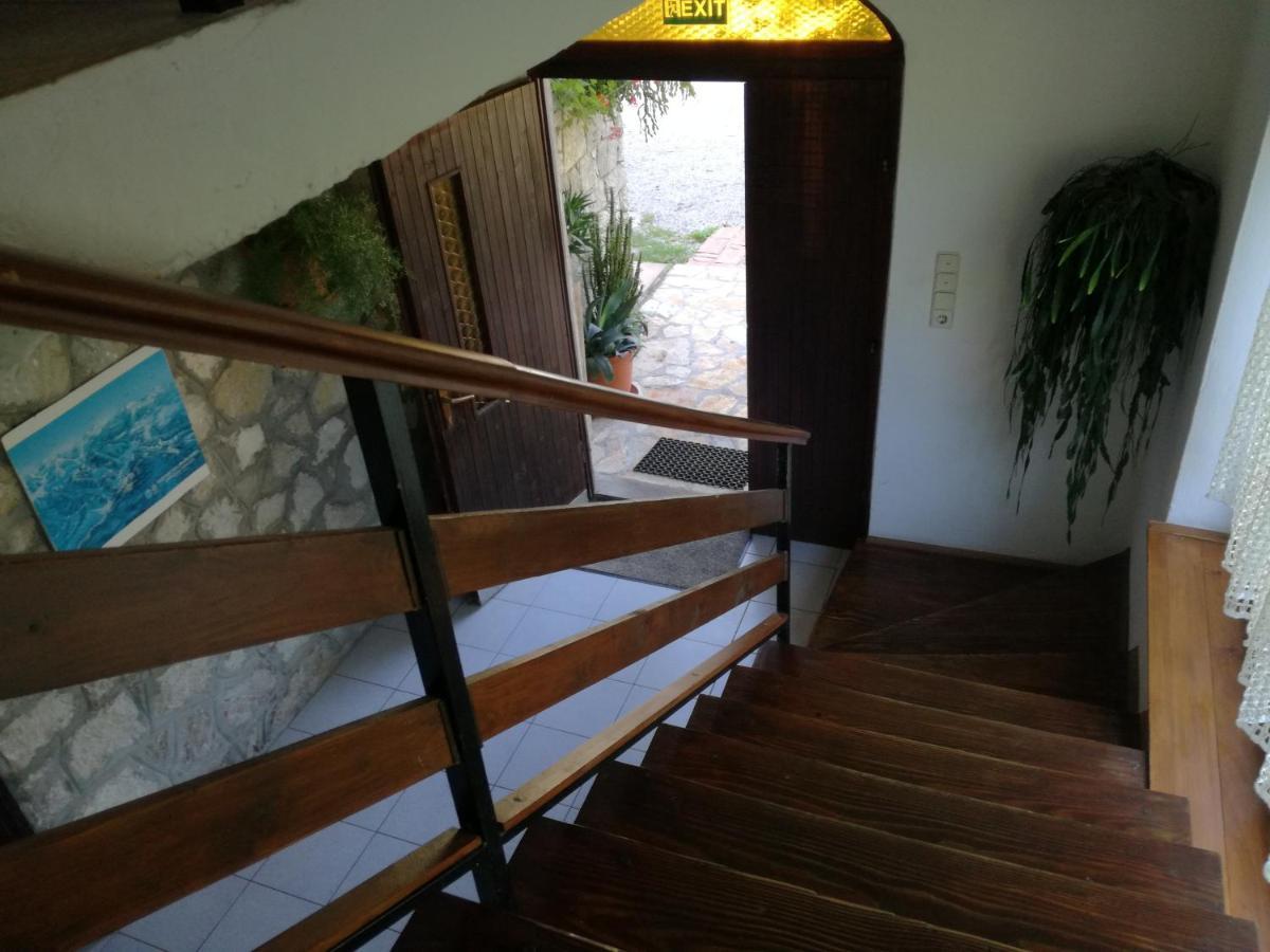 Hotel Lazy Bear Jezerce Zewnętrze zdjęcie
